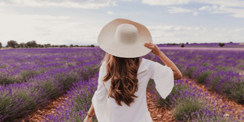 Lavender Flower Captions For Instagram