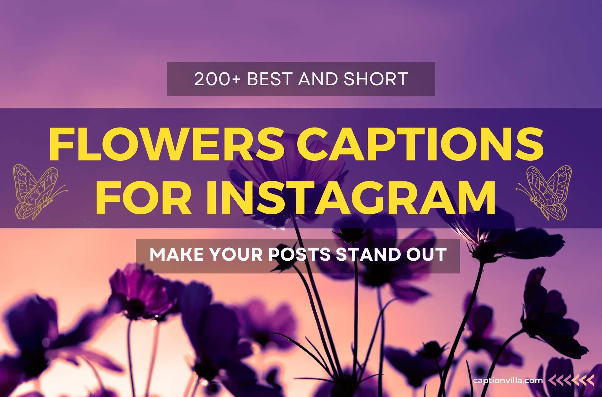 The beauty of flowers: a thumbnail including Instagram caption on it.