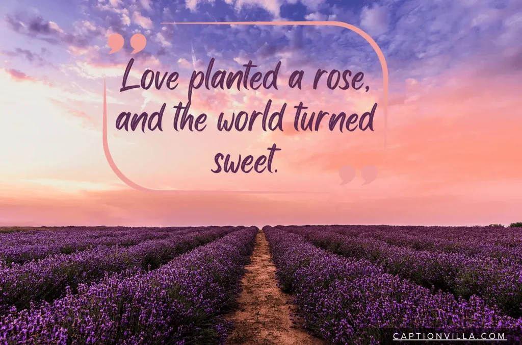 Love planted a rose, and the word turned sweet.