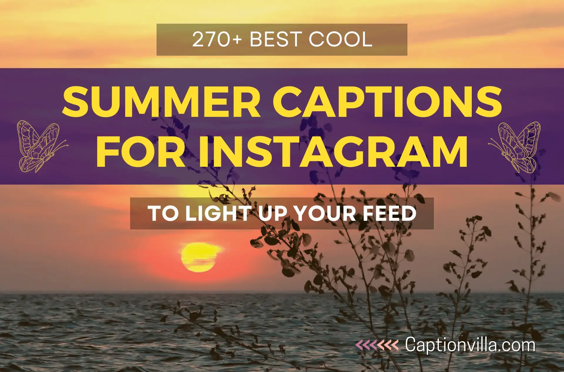 270+ Best Cool Summer Captions for Instagram That Will Make Your Followers Swipe Right