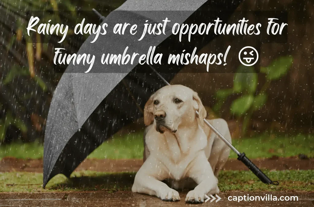 Beautiful Short Rain Quotes for Instagram
