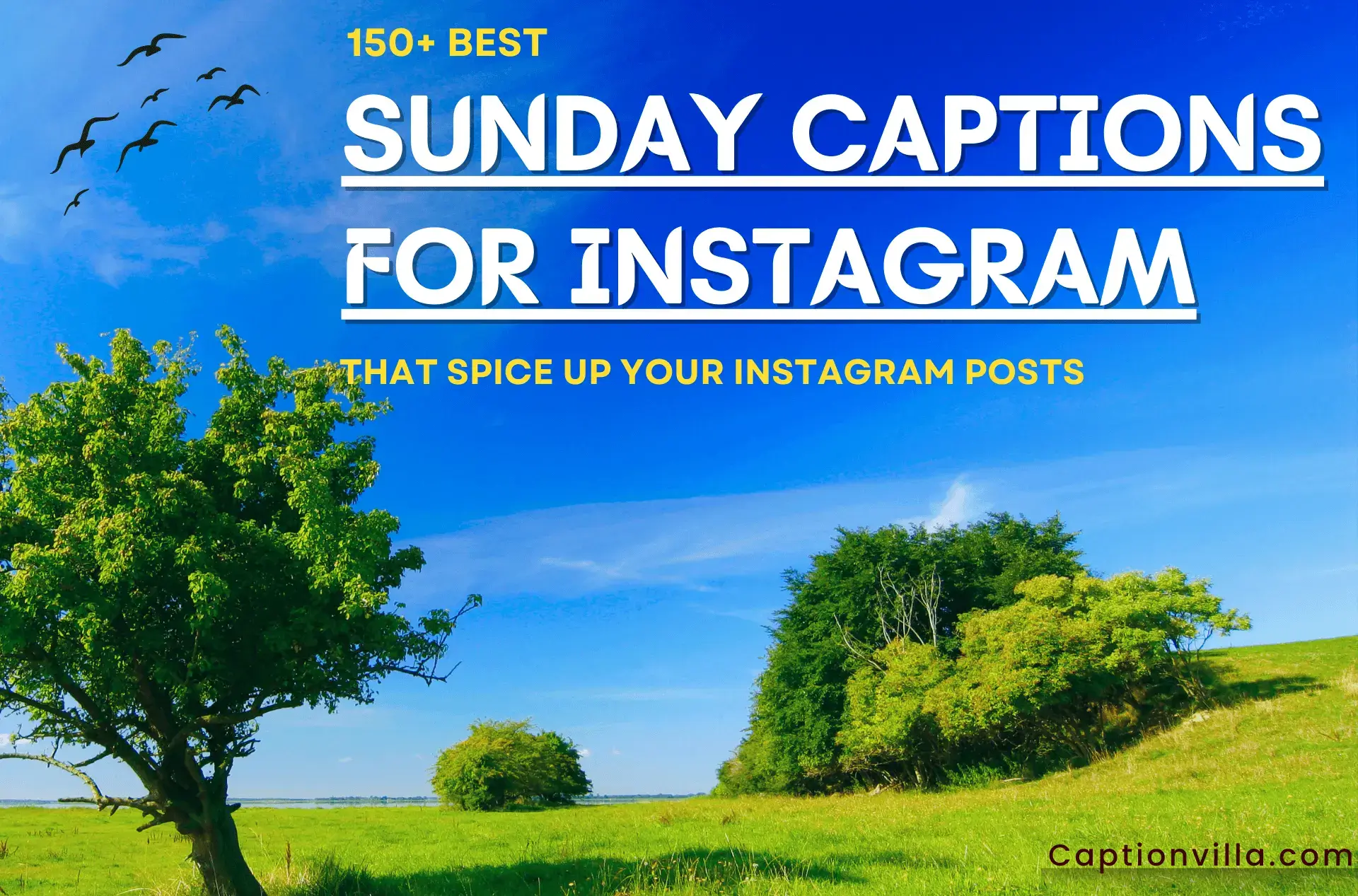 A thumbnail having beautiful garden and includes Sunday Captions For Instagram.