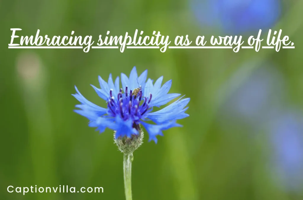 Simplicity Quotes for Instagram