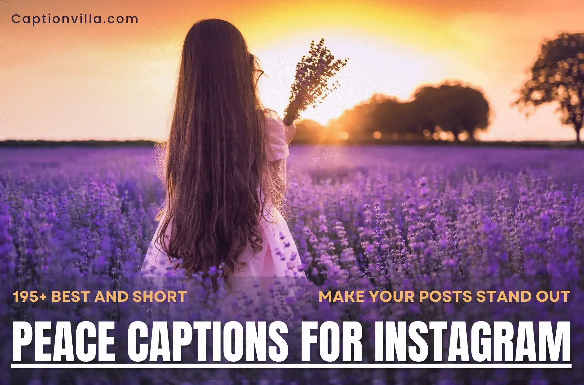 A girl in the blossom in purple dress and having a peace caption for Instagram.