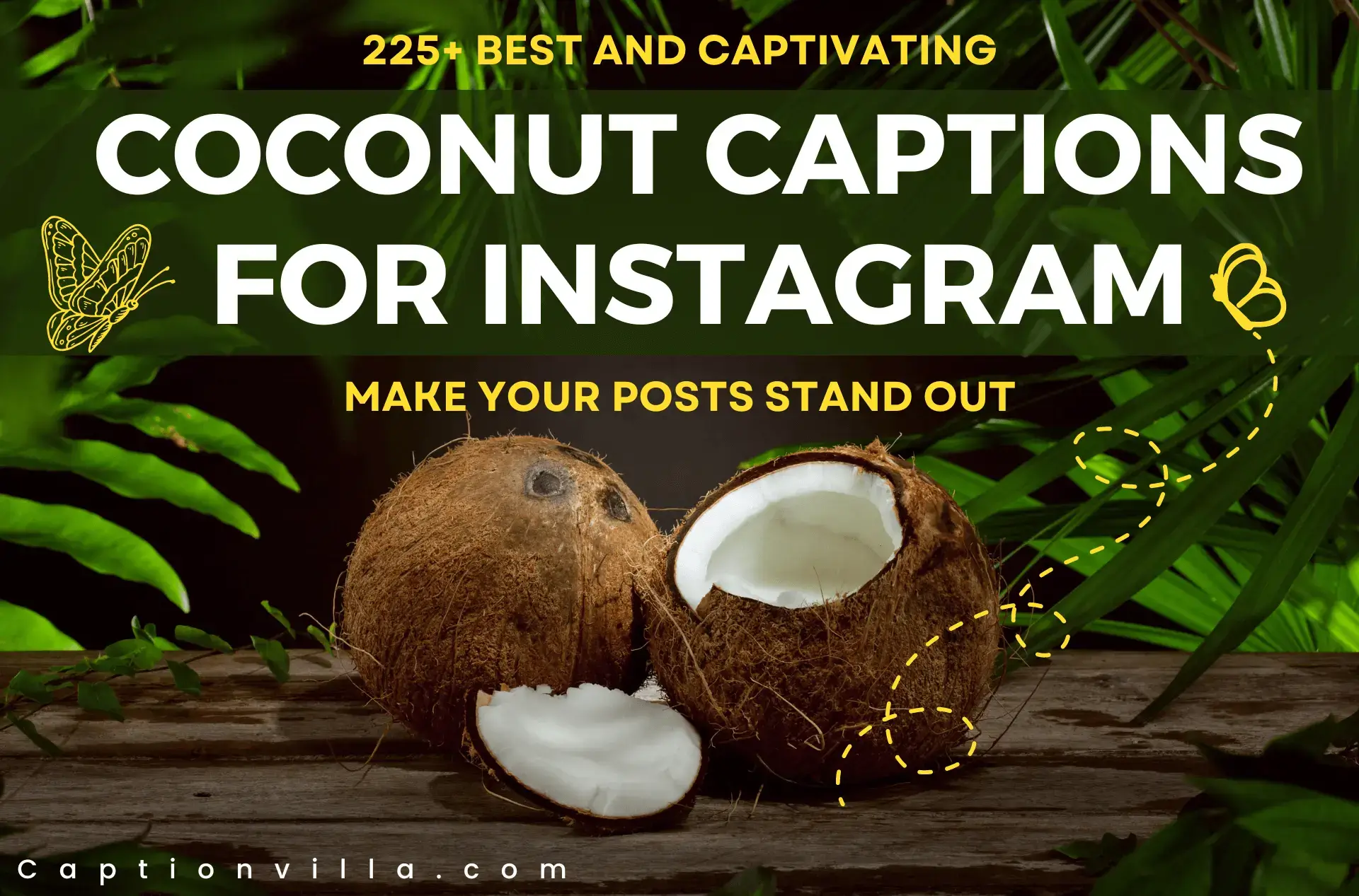 coconuts caption for instagram