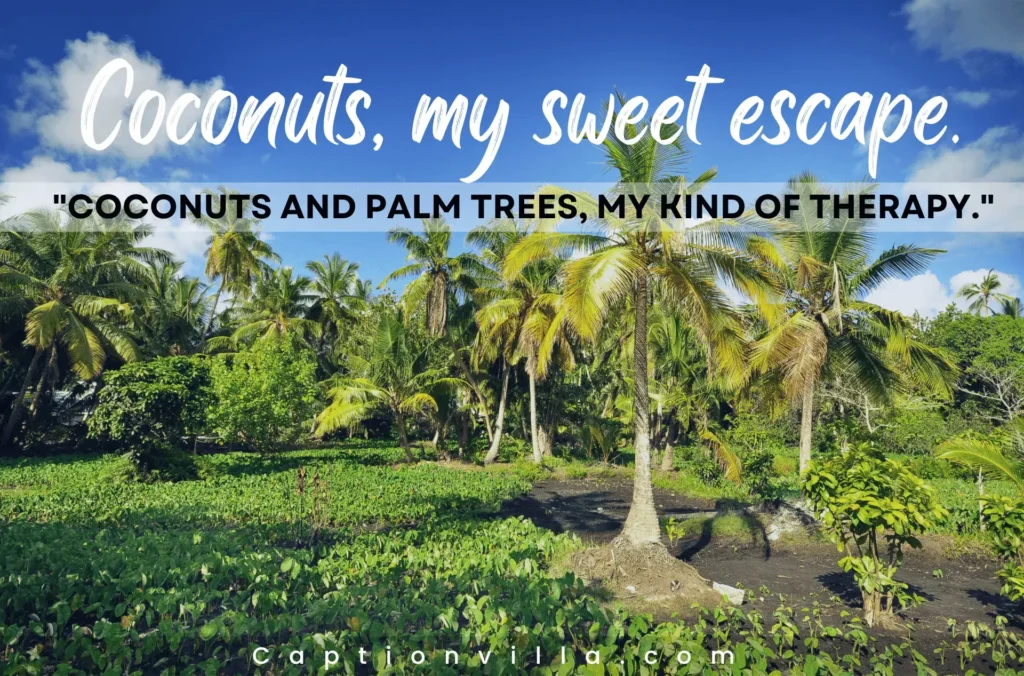 Coconut Tree Captions for Instagram