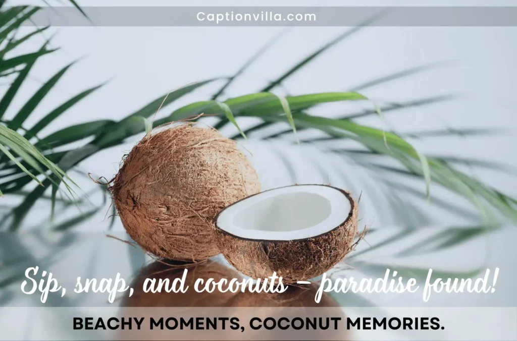 Coconut Puns For Instagram