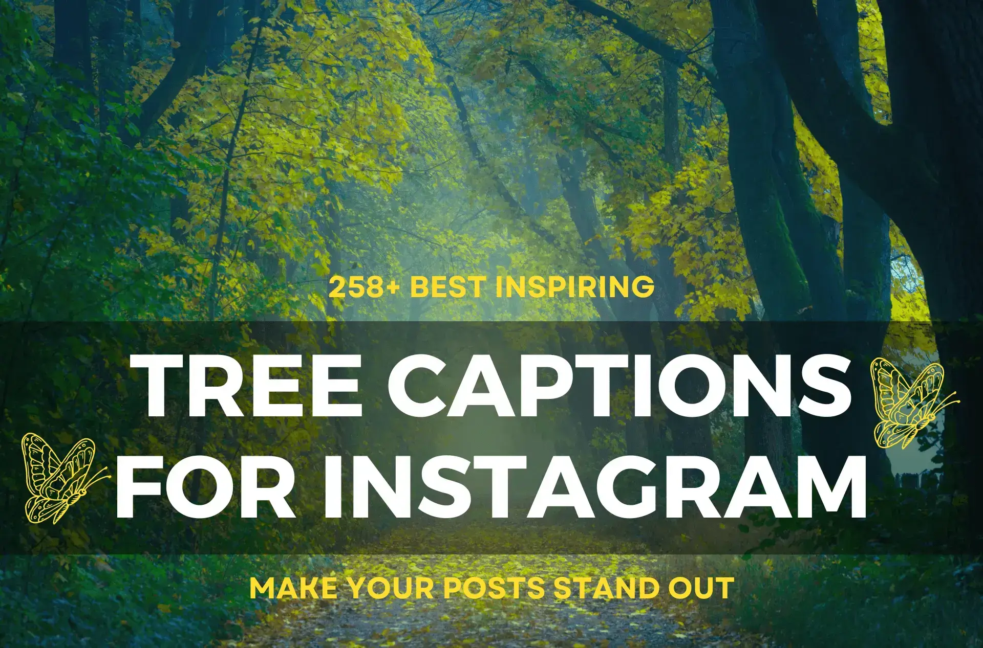 Nature's Scene: Tree Captions for Instagram Thumbnail