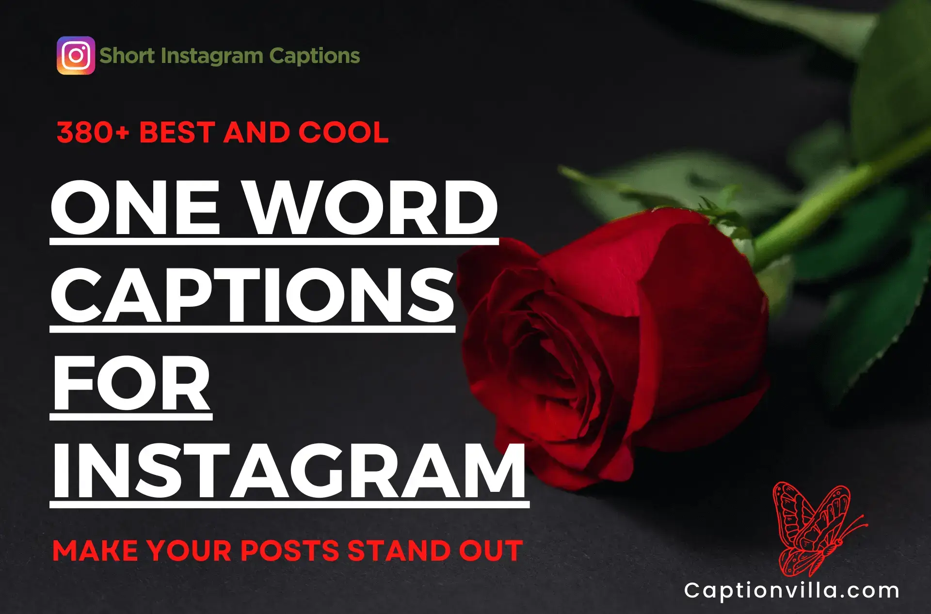 Unlocking Magic: Elevate Your Game with Best One Word Captions for Instagram like Travel, Couples, Nature, and More!