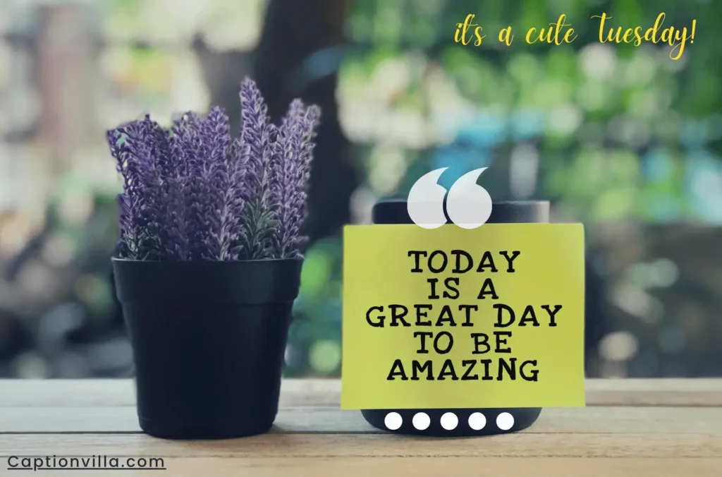 Today is a great day to be amazing - Best Tuesday Captions For Instagram.