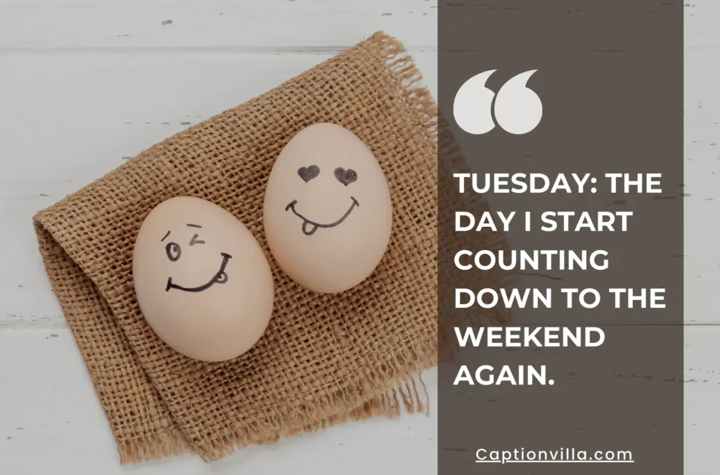 Two eggs are shown by the funny faces, and it's include the Funny Tuesday Captions For Instagram.