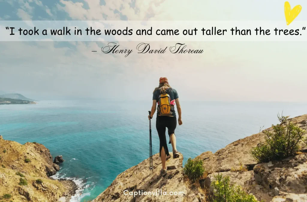"I took a walk in the woods and came out taller than the trees." - Henry David Thoreau - Hiking Quotes for Instagram