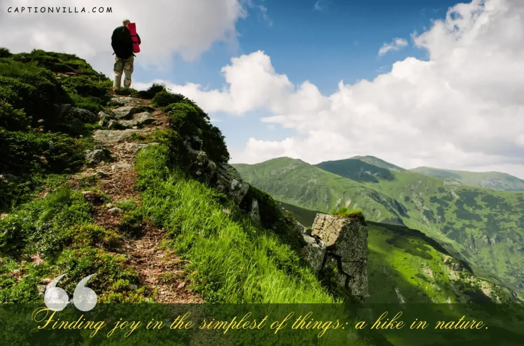 Finding joy in the simplest of things; a hike in nature. - Nature Hiking Captions for Instagram
