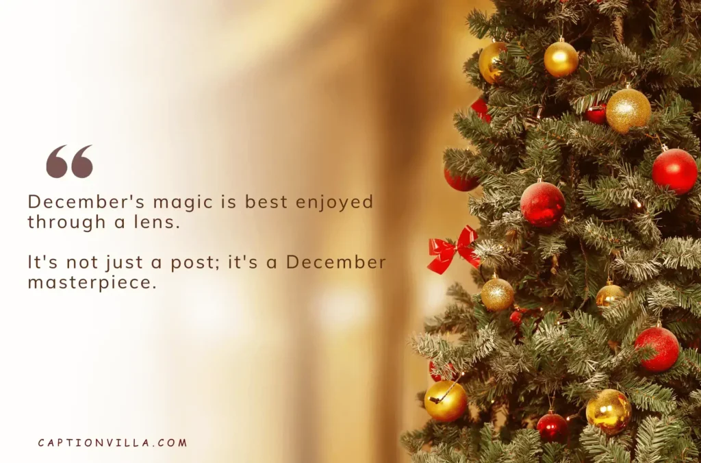 December's magic is best enjoyed through a lens. - December Captions for Instagram Post
