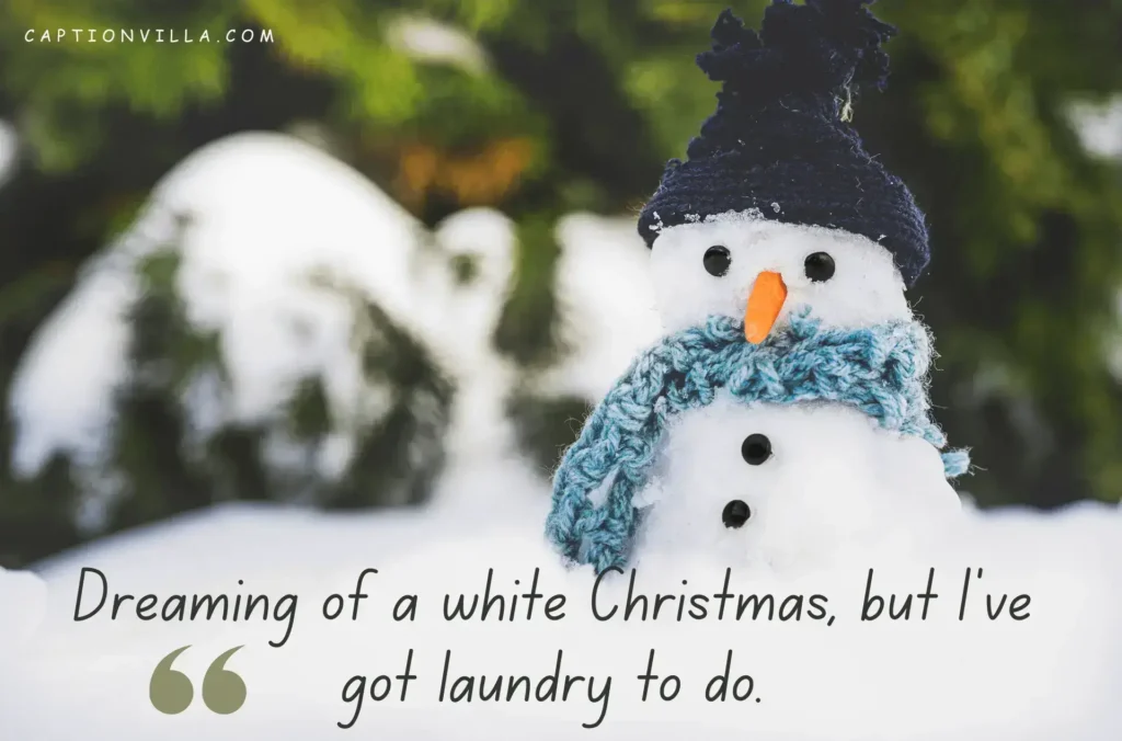 Dreaming of a white Christmas, but I've got laundry to do. - Funny December Captions for Instagram