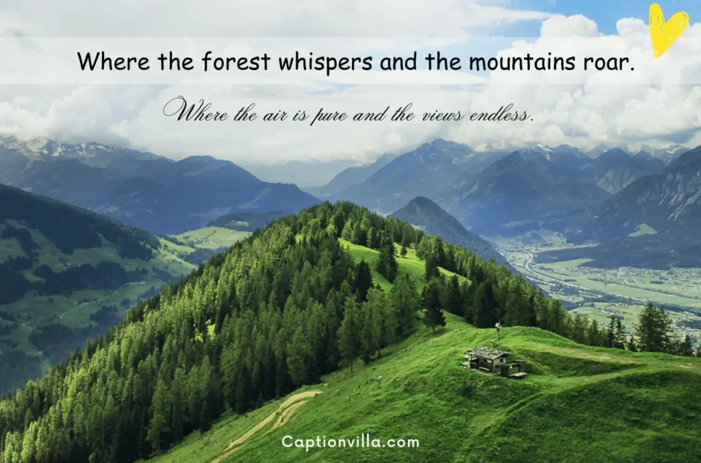 Where the forest whispers and the mountains roar. - Nature Mountain Captions for Instagram 