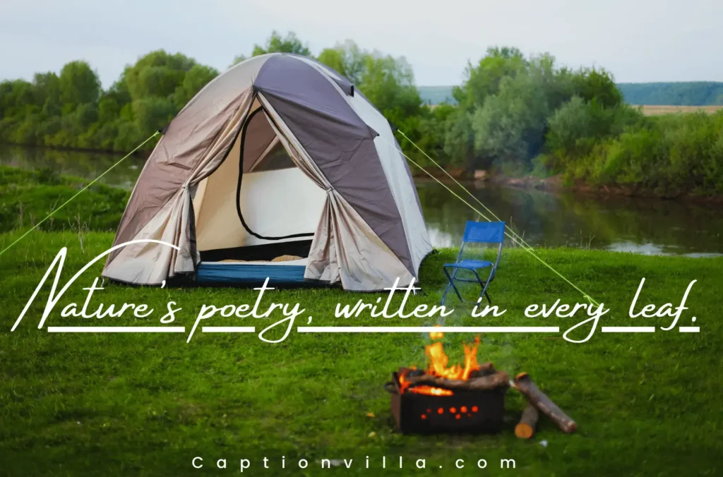 Every leaf of nature speaks the beauty of life - Nature Camping Captions for Instagram