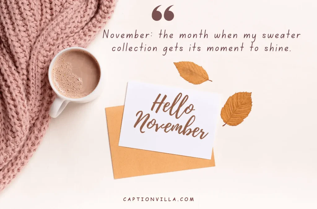 November: the month when my sweater collection gets its moment to shine. - Cute November Instagram Captions