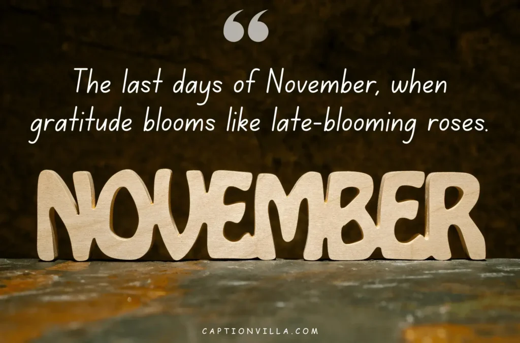 The last days of November, when gratitude blooms like late-blooming roses. - End of November Instagram Captions