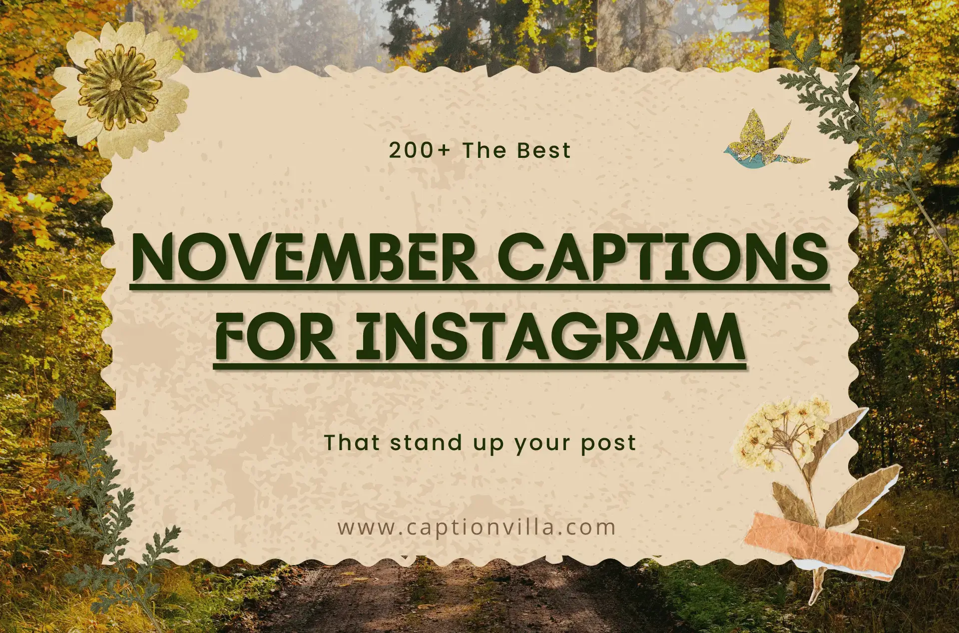 November Captions for Instagram