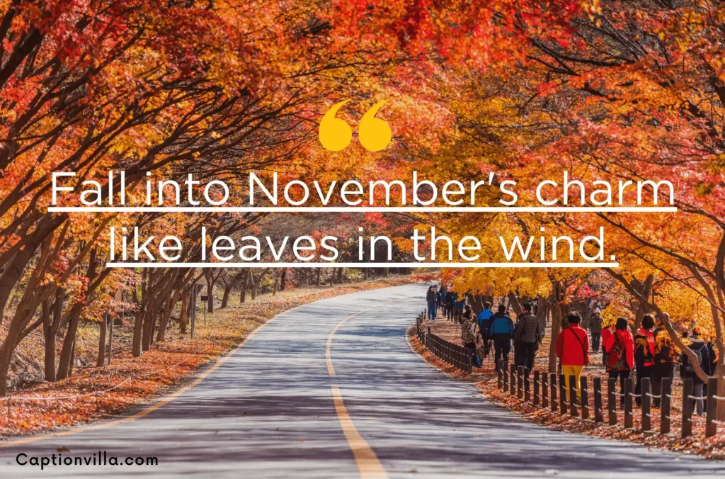 Fall into November's charm like leaves in the wind. - November Captions for Instagram