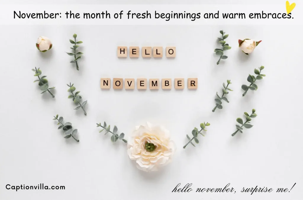 November: the month of fresh beginnings and warm embraces. - Hello November Captions for Instagram