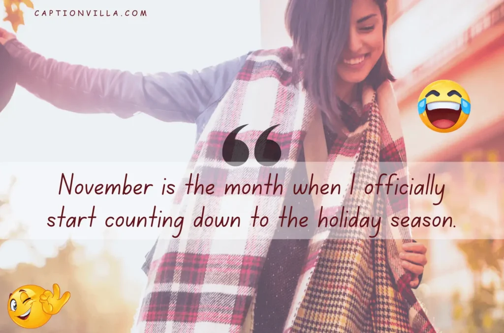November is the month when I officially start counting down to the holiday season. - Funny November Captions