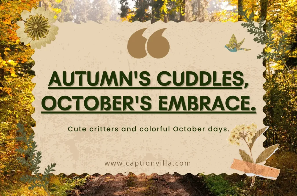 Autumn's cuddles, October's embrace. -Cute Instagram Captions for October