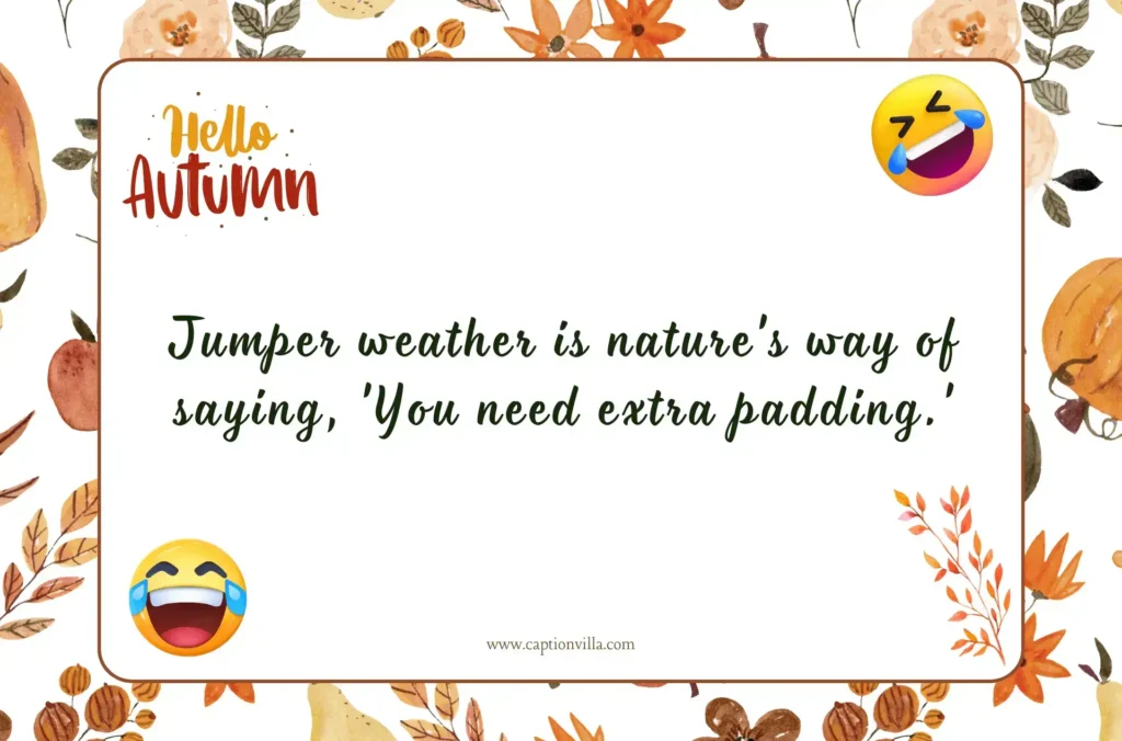 Jumper weather is nature's way of saying, 'You need extra padding.' - Funny October Instagram Captions 