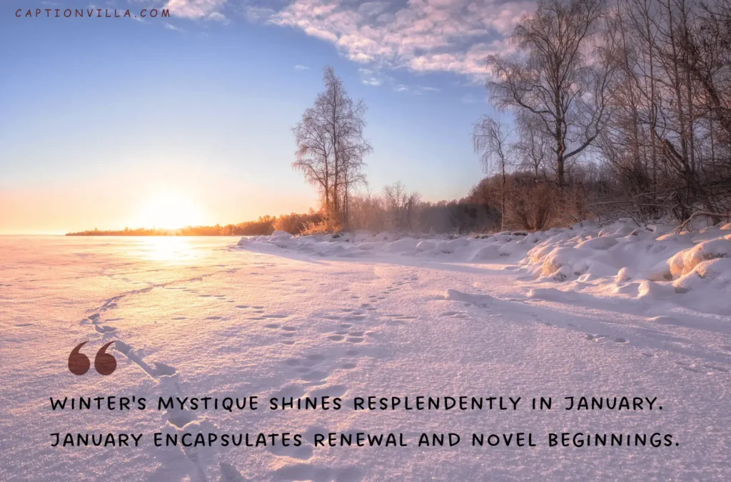 Winter's mystique shines resplendently in January. - Instagram Captions for January