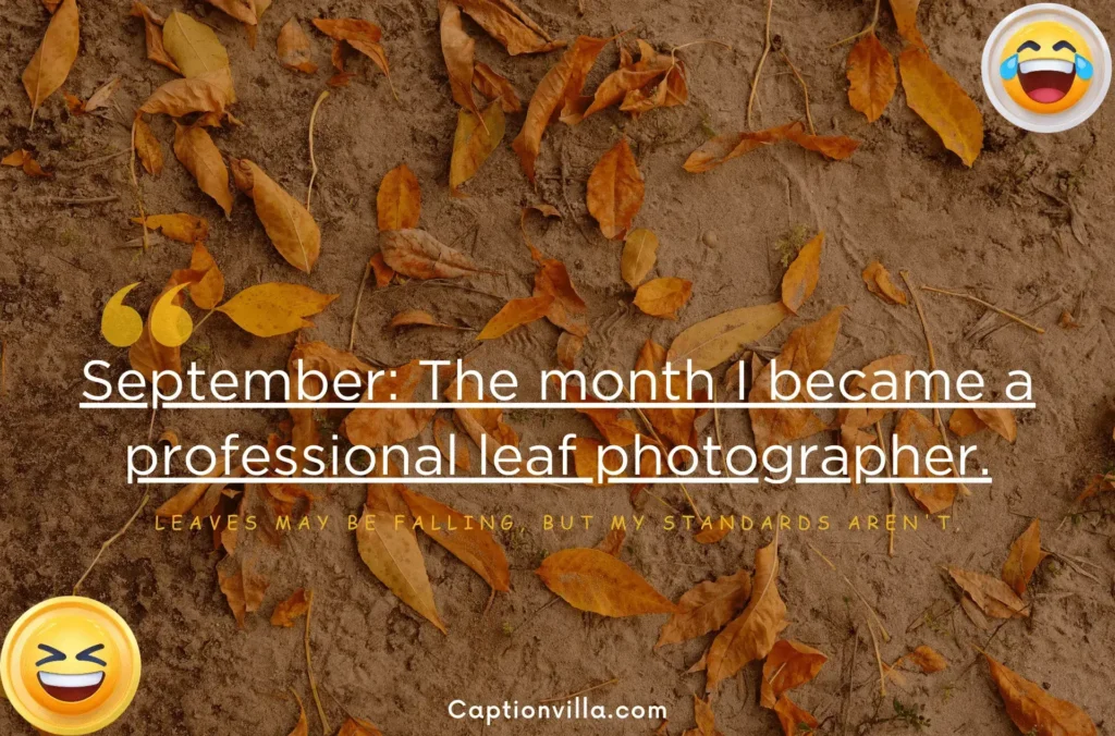 September: The month I became a professional leaf photographer. - Funny September Captions