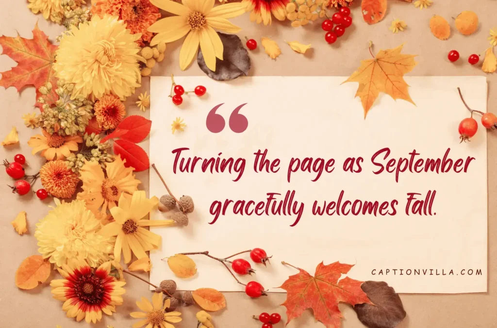 Turning the page as September gracefully welcomes fall. - September Recap Captions for Instagram