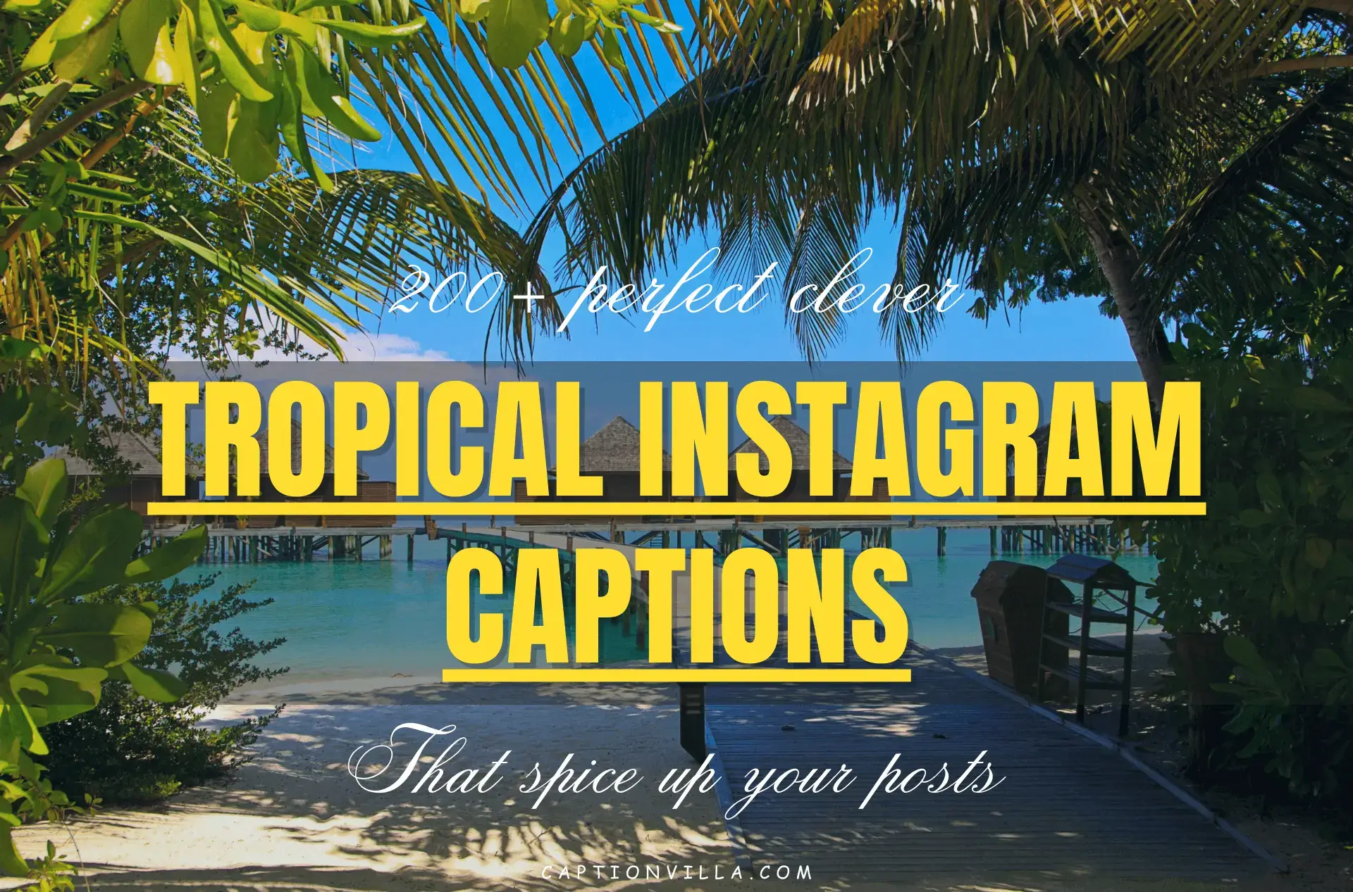 Beautiful scene of tropic scene with palm trees, having the title of 200+ Perfect Short Tropical Instagram Captions 2023