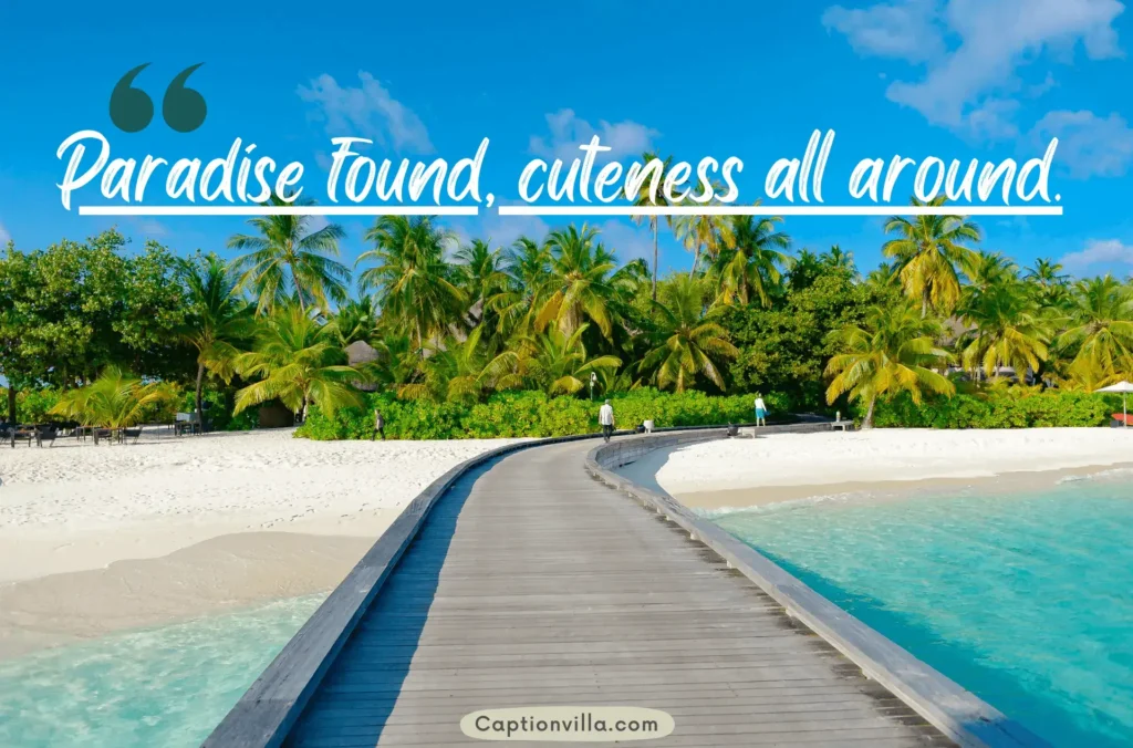 Paradise found, cuteness all around - Cute Tropical Instagram Captions
