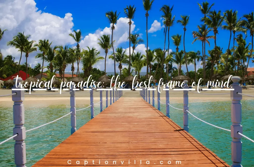 Tropical paradise: the best frame of mind - Tropical Instagram Captions