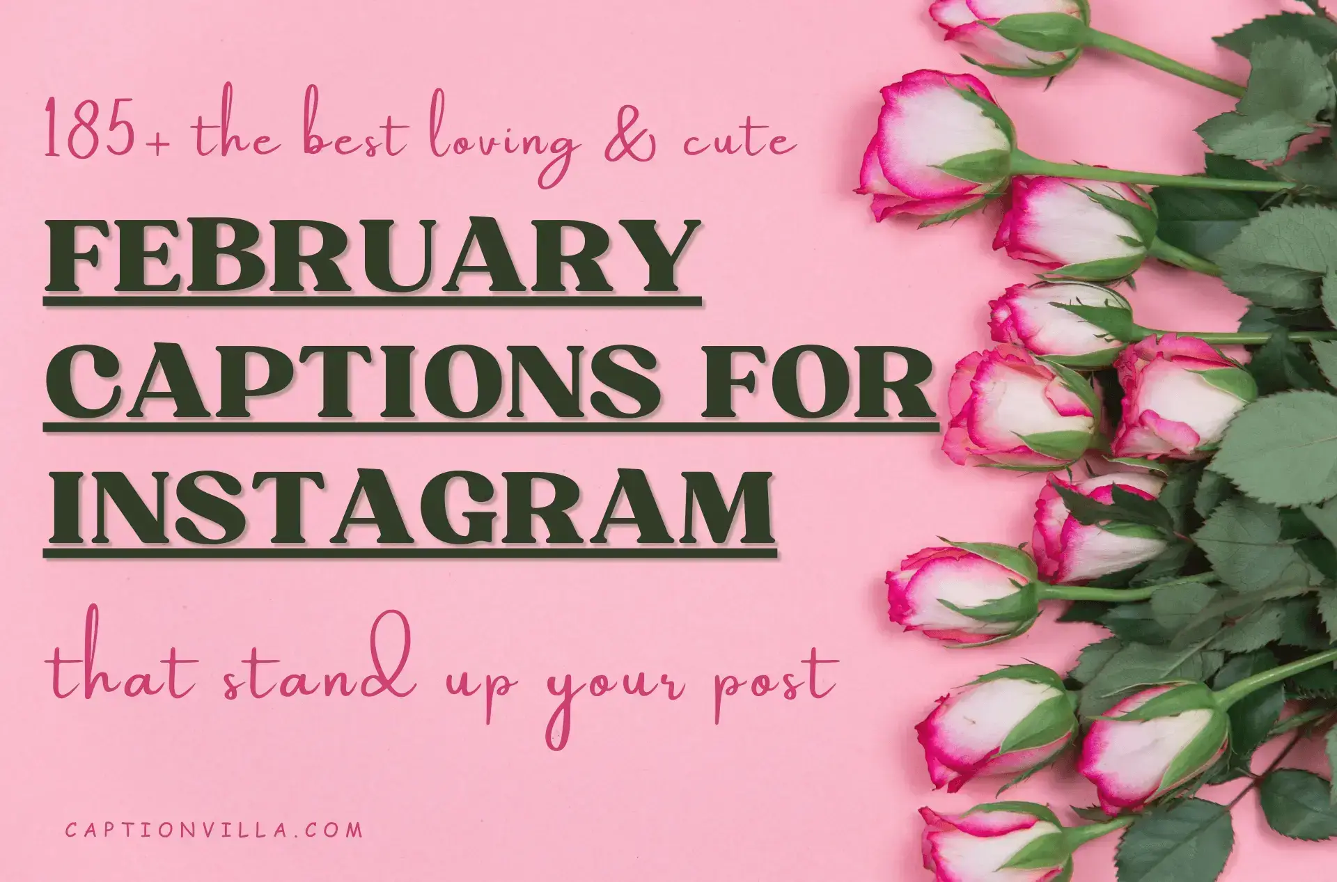 This image includes the title of February Captions for Instagram.