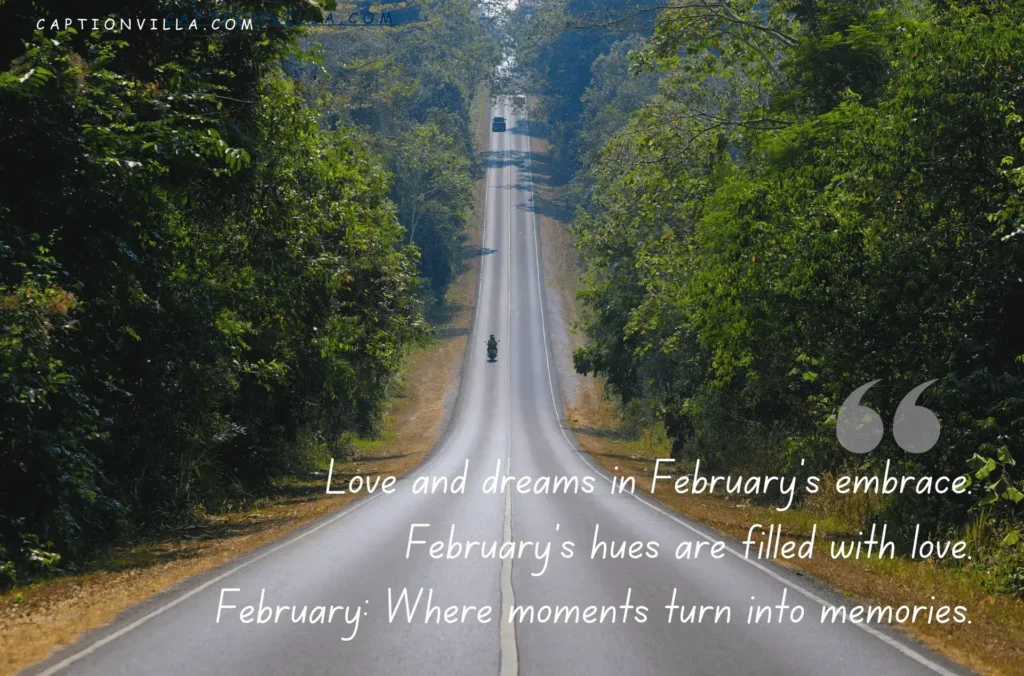 Love and dreams in February's embrace. February's hues are filled with love.  -February Month Captions for Instagram
