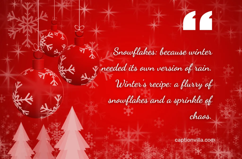Funny Snowflake Captions for Instagram "Snowflakes: because winter needed its own version of rain."