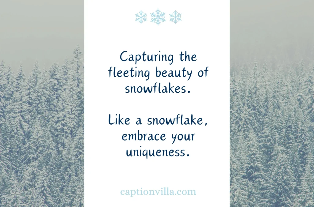 This image includes the Best Snowflake Instagram Captions "Capturing the fleeting beauty of snowflakes."