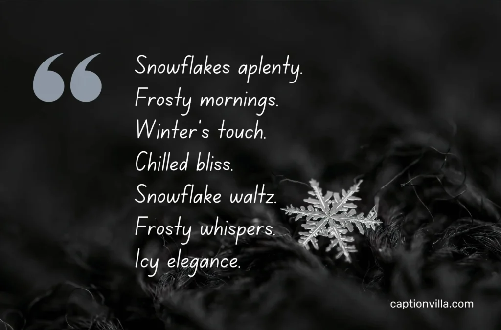 This image includes Short Snowflake Instagram Captions "Snowflakes aplenty.

Frosty mornings.

Winter's touch.

Chilled bliss."