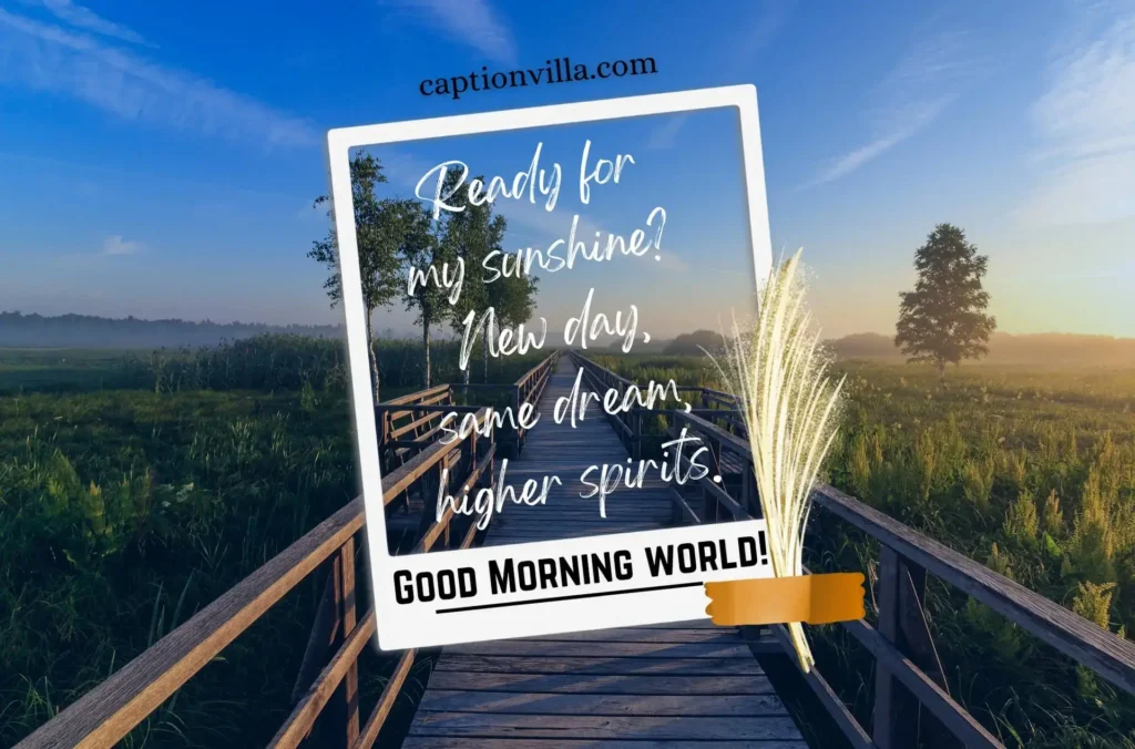Best Good Morning Captions for Instagram
"Good morning, world! Ready for my sunshine?
New day, same dream, higher spirits."