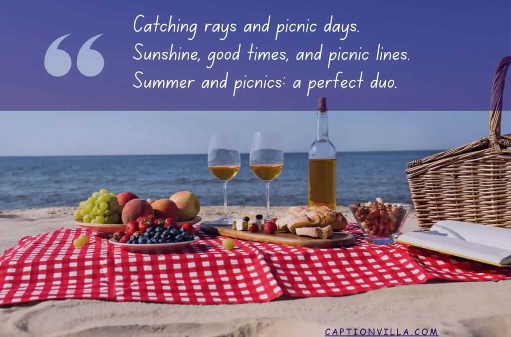 waves, wine, and good times at Summer Picnic Captions for Instagram.
