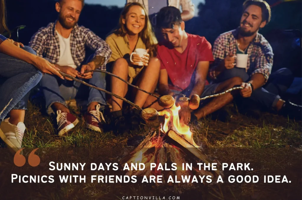This image includes the best picnic captions for Instagram " Sunny Days and Pals in the park. "