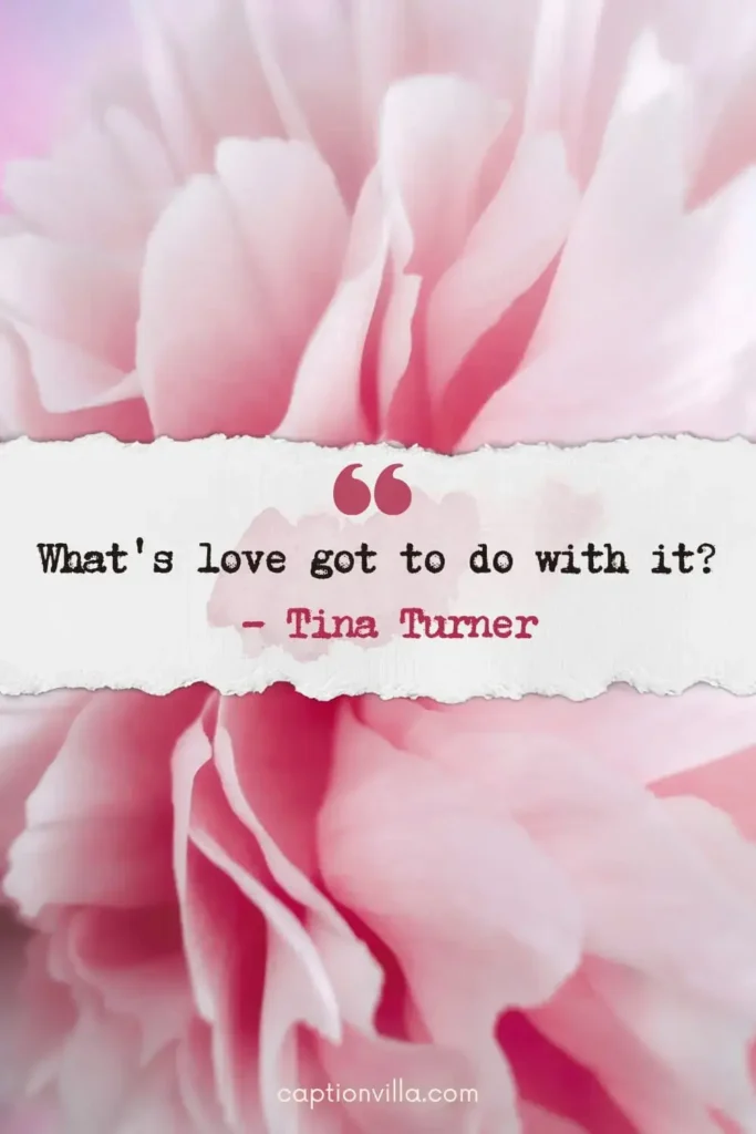 Song Lyrics Quotes for Instagram "What's love got to do with it?" - Tina Turner