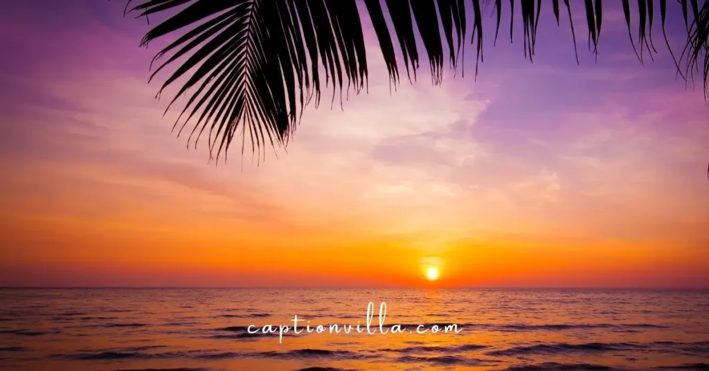 a stunning sunrise beach scene with soft golden light, perfect for capturing serene moments. check out beach captions for instagram ideas at captionvilla.com. #beachvibes #sunrisebeach #goldenhour #beachtherapy #captionvilla